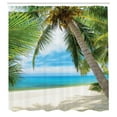 thumbnail image 3 of Ambesonne Tree Shower Curtain, Shadow Shade of Palms, 69"Wx75"L, Pale Green Pale Blue, 3 of 5