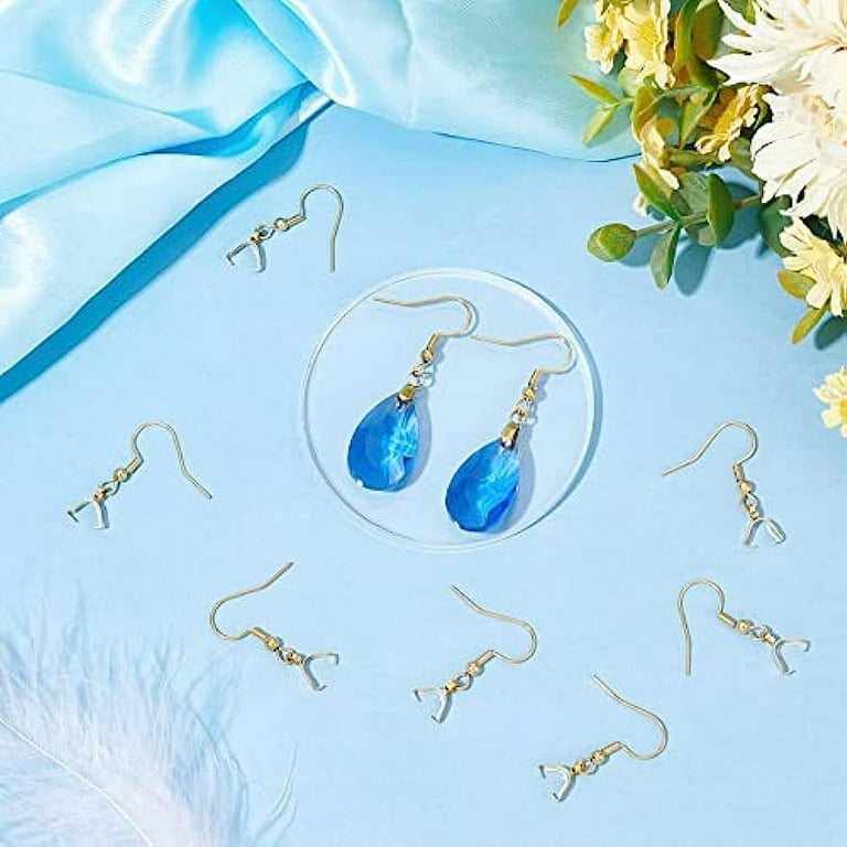 1 Box Rainbow Stainless Steel French Earring Hooks Hoop Earring Findings  Ear Wires for DIY Dangle Earring Jewelry Accessories