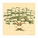 thumbnail image 2 of Diagrama de árbol genealógico Diagrama de árbol genealógico de 6 generaciones para la historia familiar y la ascendencia, 2 of 7