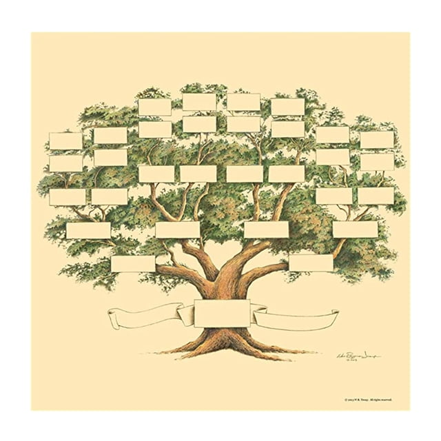 Gráfico de árbol genealógico Gráfico de árbol genealógico de 6 generaciones para historia familiar y ascendencia