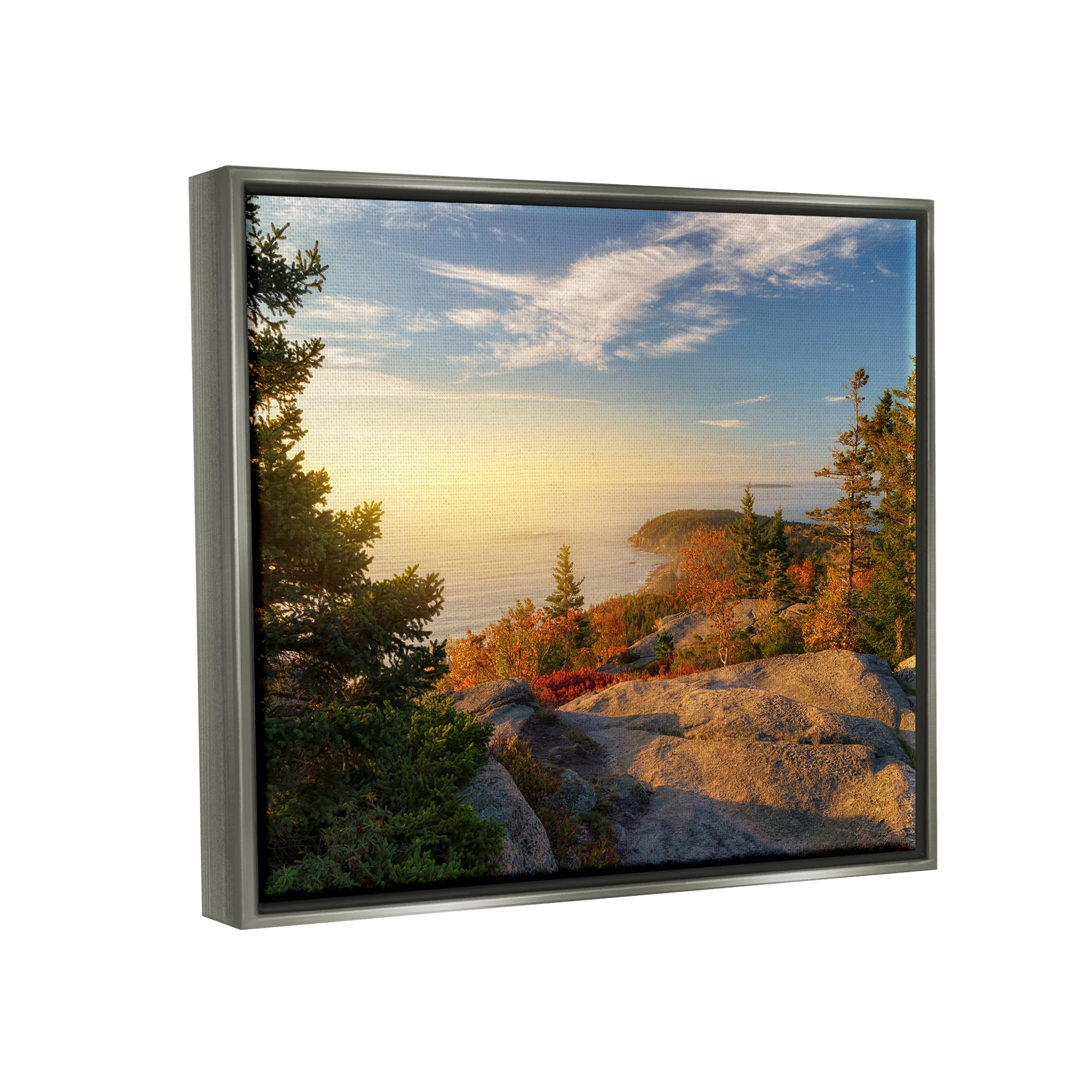 Stupell Coastal Cliffs Rocky Ocean Landscape Photography Gray Floater Framed Art Print Wall Art