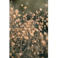 thumbnail image 2 of 1x Studio III 23x32 White Modern Wood Framed Museum Art Print Titled - Beach flowers_003, 2 of 4