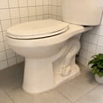 thumbnail image 4 of Toilet Toilet Decorative Ceramic Swan Toilet Bathroom Decor Accessories Installation Fits Most Standard Toilets, 4 of 8