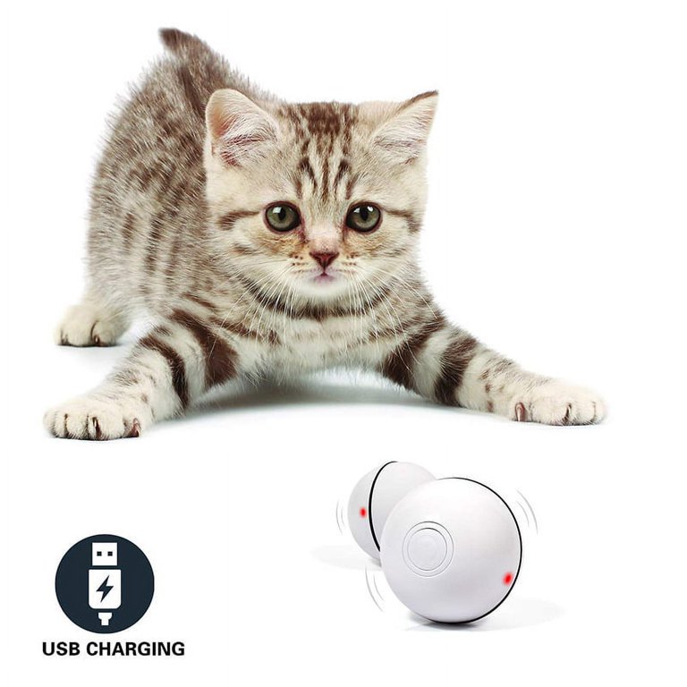 Bluetooth Cat Laser Toy