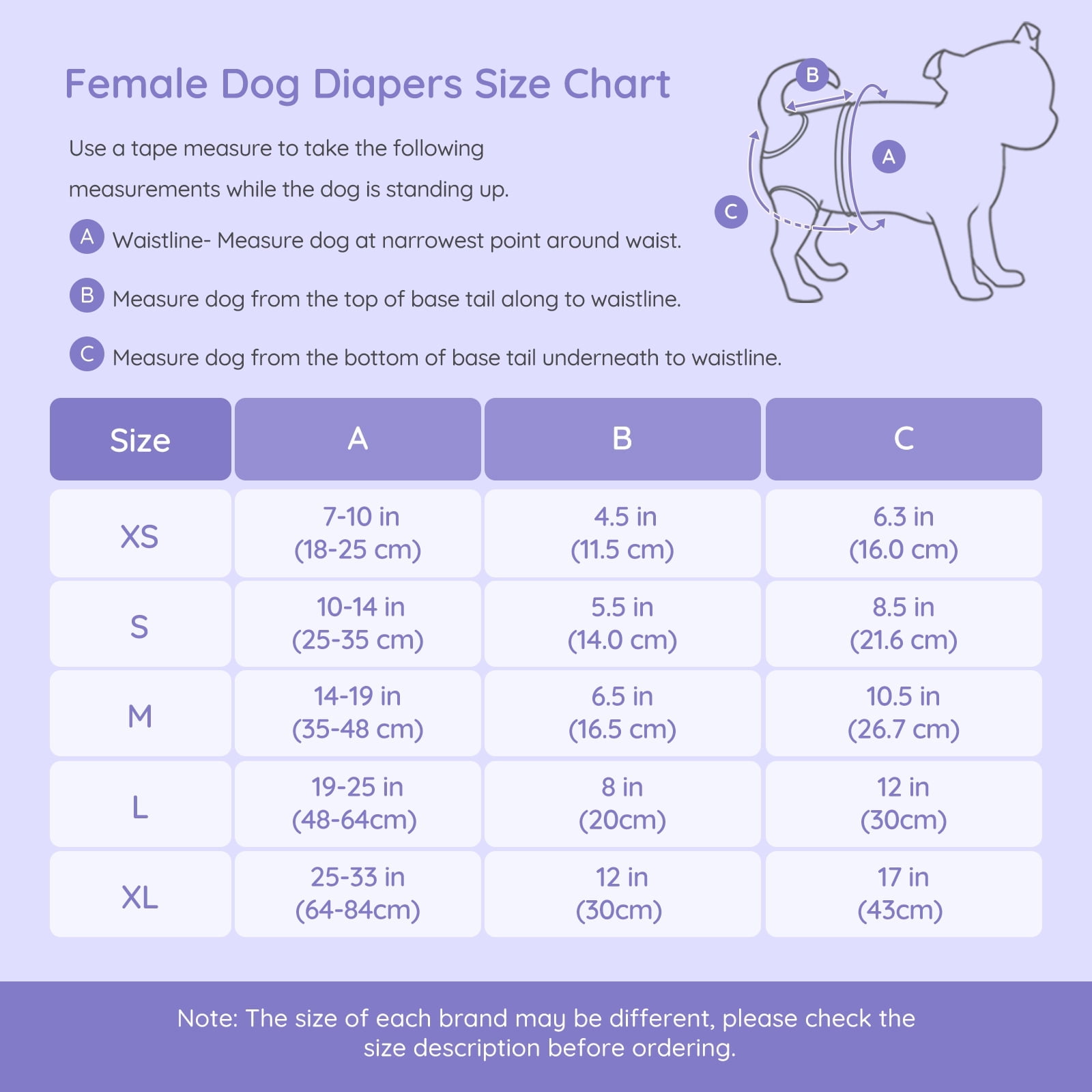 Bella & Pal × PJai & Friends Female Dog Diapers, 3-Pack, Highly Absorbent Washable Diapers for Small Dogs, Leak-Proof Puppy Diapers, M