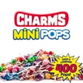 thumbnail image 2 of Charms Mini Pops 18 Assorted Lollipop Flavors with Resealable Bag (400 Count) Peanut Free, Gluten Free, 2 of 2
