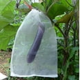 thumbnail image 3 of Jinsinto 50 PCS Fruit Protection Bag Mesh Bag Against Insects Plant Protection Bag with Drawstring Anti-Insect Mesh Bags Insect Bag 20*30cm for Grapes, Apples, Birds, 3 of 5