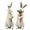 Bunny With Carrot/Flower, variant on Standing Rabbit Figurines Home Decoration - Indoor Bunny Statues with Carrots Office Room Decor for Women Table Decor 5.8 L x 5.1 W x 11.7H Inch