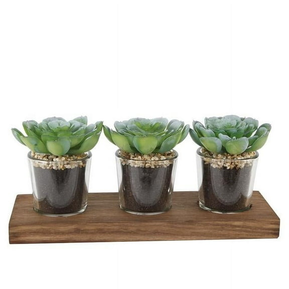 Flora Bunda 3 Pack Artificial Succulents in Round Clear Shot Glass Pots on Wood Tray