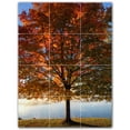 thumbnail image 1 of Picture-Tiles.com: Autumn Ceramic Tile Wall Mural WAL500003-34S. 12.75"W x 17"H using (12) 4.25" x 4.25" Ceramic Tiles-Satin Finish, 1 of 3