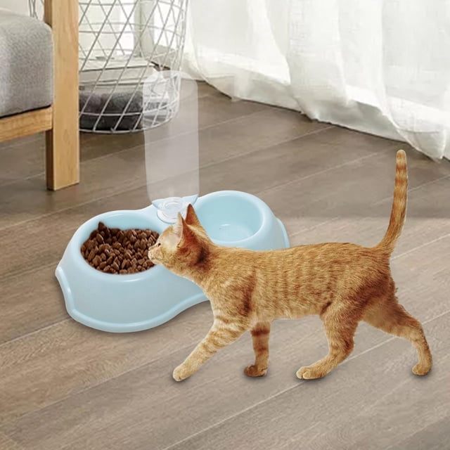 Tazón doble para perros y gatos perfecl 2 en 1 botella de agua automática Azul