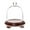 Walnut Wood Veneer Base, variant on Plymor 6" x 7" Bell Jar Glass Display Dome Cloche, Red Wood Veneer Footed Base (Interior size 5.75" x 5.75")