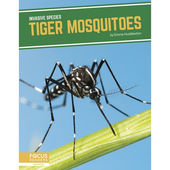 Tiger Mosquitoes, (Hardcover)