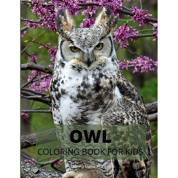 Owl Coloring Book for Kids: Cute Owl Designs to Color for Girls, Boys and Kids Ages 3-8 Coloring and Acitivity Book for , (Paperback)