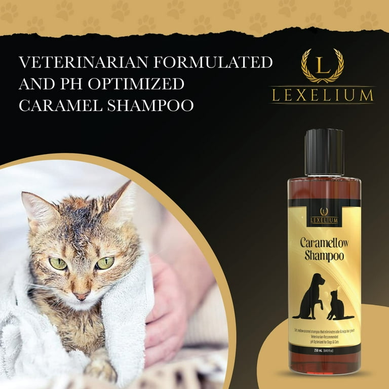 Lexelium Dog Shampoo for Itchy Skin Infused with Caramel Herbal Extracts for Dry and Itchy Skin Relief Veterinarian Formulated Anti Itch Shampoo