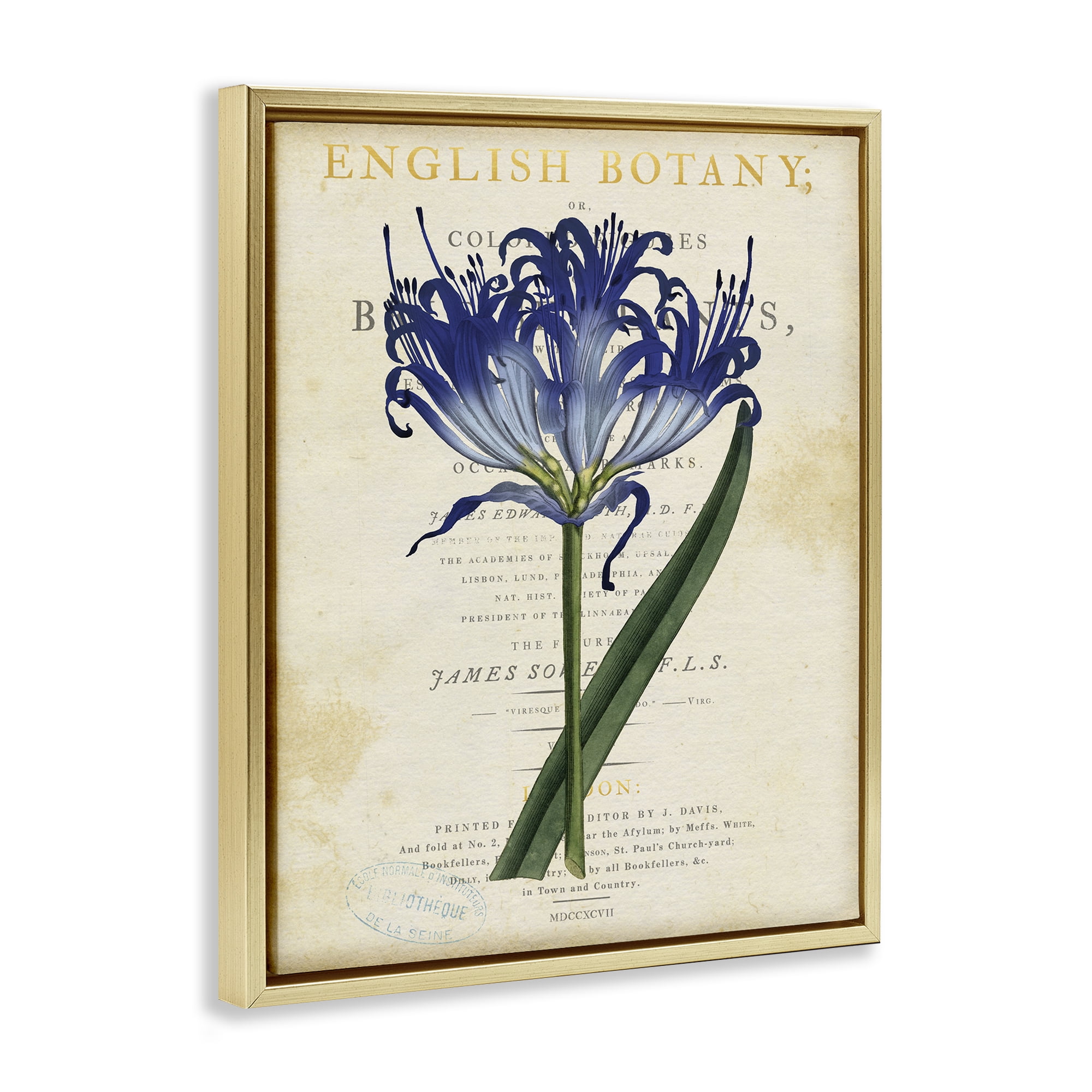 Stupell Industries English Botany Blue Floral Gold Framed Floater Canvas Wall Art, design by Susan Arnot