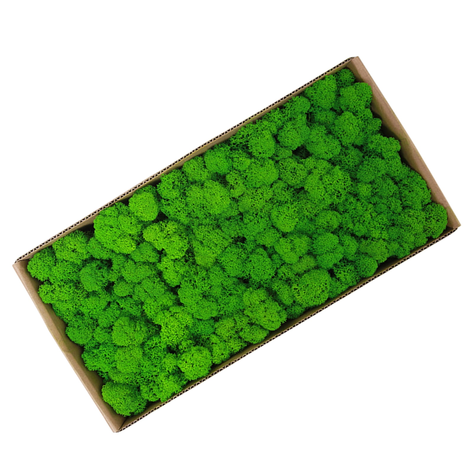 Real Preserved Moss Moss Preserved Moss Gardenning Art Wall Decor Moss Bulk Micro Landscape Decorative Props