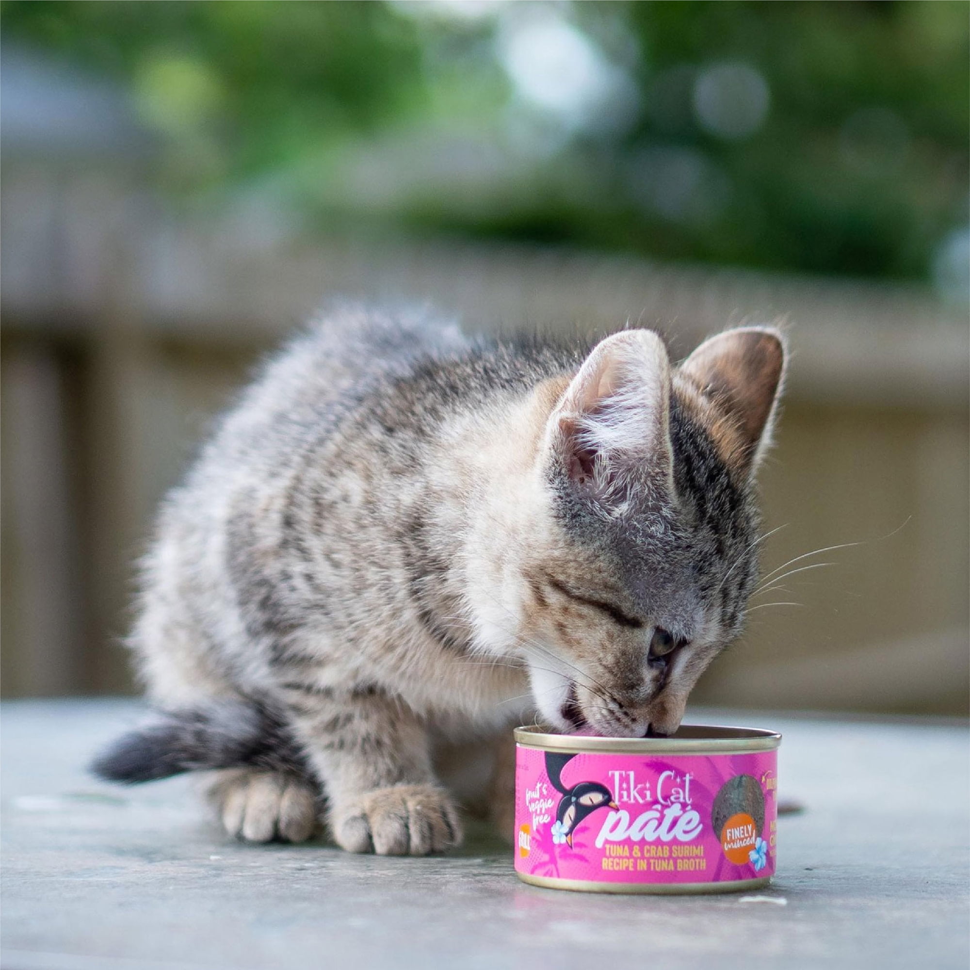 (12 pack) Tiki Cat Grill Pate Wet Cat Food, Tuna & Crab Surimi, 2.8 oz. Can