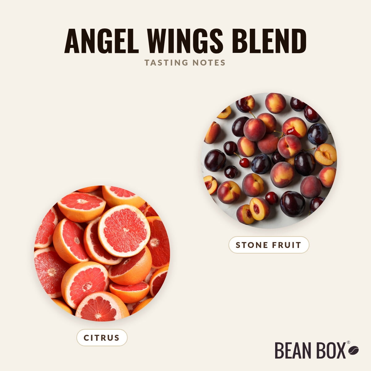 Angel Wings Blend - Roasted by Proud Mary Coffee - Freshly Ground Coffee - 250g Bag