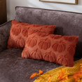 thumbnail image 3 of Oceanwell New Plush 3D Pumpkin Throw Pillows Covers - Fall/Christmas/Thanksgiving Decor, Cozy Textured Cushions for Couch/Bed,E,50X30cm, 3 of 7