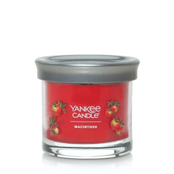 Yankee Candle Small Tumbler Scented Single Wick Jar Candle, Macintosh, 4.3 oz (Pack of 2)
