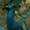 Peacock, variant on Peacock Floral Canvas Print, Wall Decor for Living Room Bedroom Dining Room Hallway Office Hotel