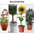 thumbnail image 5 of Bolsa de protección para plantas de jardín, reutilizable, de malla, con cordón, para proteger flores, frutas y verduras de insectos, plagas y aves (4 unidades, 70 x 100 cm), 5 of 5