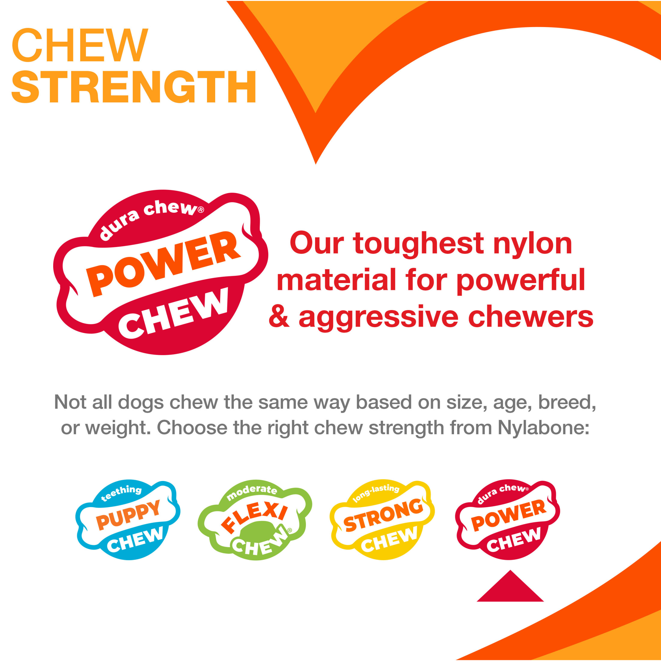 Nylabone Power Chew Easy Hold Bone Dog Toy, Chicken, Large photo 5