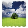 thumbnail image 3 of Ambesonne Nature Shower Curtain, Old Tree in Grass Field, 69"Wx84"L, Green Blue, 3 of 5