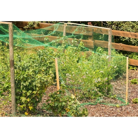 Garosa La Maille D Escrime De Fruits De Plante De Jardin De Filet De Filet Vert D Anti Protegent Des Fruits Des Oiseaux De Rongeurs Walmart Canada