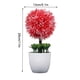 thumbnail image 2 of Planta artificial en maceta, simulación de bolas, vegetación, decoración, oficina en casa, centro de mesa, planta falsa, rojo Methold HA7629-05B, 2 of 6