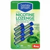 Berkley Jensen 4 mg Mini Mint Nicotine Lozenges - 189 Lozenges