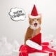 thumbnail image 3 of Mascota gato perro sombrero tocado bufanda chal, 3 of 5
