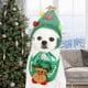 thumbnail image 5 of Diadema de perro de Navidad para gatito de invierno, accesorio para mascotas (sombrero verde L) Ehuebsd Para estrenar, 5 of 8