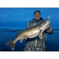 thumbnail image 2 of Acme Tackle Little Cleo Fishing Lure Spoon, Silver 2/5 oz., 2 of 9