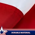 thumbnail image 2 of G128 5pk USA Pleated Fan Flags, 2x4 ft, Printed Patriotic Bunting, Canvas Header, Brass Grommets, 2 of 6
