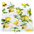 thumbnail image 5 of Placemats Set of 4 Heat-Resistant Rectangle Place Mats Tropical Lemon Washable Plastic PVC Dining Table Mat Non-Slip Wipeable Woven Vinyl Placemat for Kitchen Patio Table Decor, 5 of 8