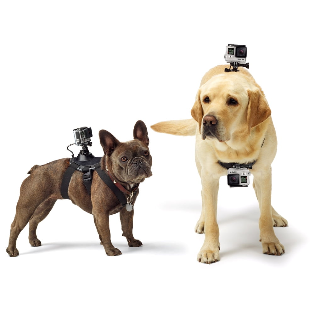 power dog harness
