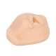 thumbnail image 2 of Modelo De Labio Hendido De Sutura, Modelo Educativo De Labio Hendido Para Comunicación Entre Médico Y Paciente Para Estudiantes De Medicina ANGGREK Cleft Lip Model, 2 of 8