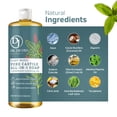 thumbnail image 5 of Dr. Jacobs Naturals Peppermint Castile Soap All-In-One Cleaner Plant-Based Formula, 32 Fl. Oz. 3-Pack, 5 of 10