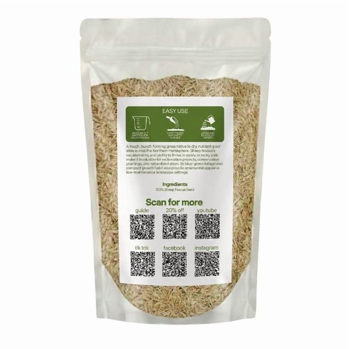 Old Cobblers Farm™ Wicked Tuff Turf Sheep Fescue (Variety Not Stated) - Low-Maintenance, Drought-Tolerant Grass Seed for Meadows, Slopes & Natural Lawns (5 lbs | 10 lbs | 15 lbs | 20 lbs)(5lbs)