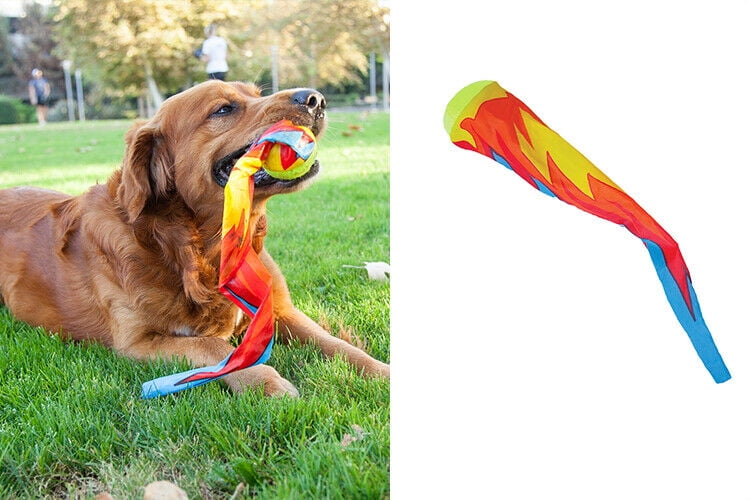 dog fetch toy