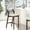 White Glacier, variant on Patricia Modern Wood Upholstered Barstool in Black