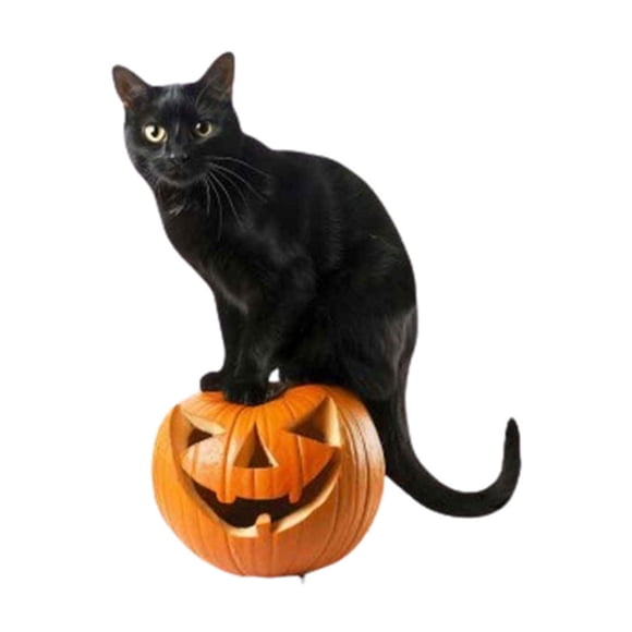 Rbaofujie Halloween Patio Ground Plug Garden Witch Hat Kitty Holiday Decor Insert Halloween Kitty with Witch Hat and Pumpkin Halloween Decor