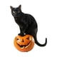 thumbnail image 5 of Estatua de gato con sombrero de bruja de metal para decoración de jardín de Halloween con calabaza para patio, patio, estaca de tierra, decoración navideña al JASKFLY, 5 of 9