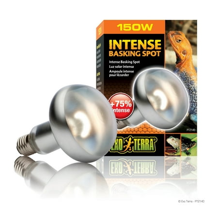 UPC: 0015561221382 | Exo Terra Intense Basking Spot Lamp 100W