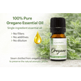 thumbnail image 3 of GreenHealth Oregano Essential Oil – 100% Pure Aromatherapy Oil – 5 ml (1/6 fl oz) Natural Essential Oil for Diffusers, Soap Making, DIY Blends – Amber Glass Bottle with Euro Dropper, 3 of 9