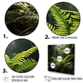 thumbnail image 3 of Designart "Delightful Jungle Ferns" Plants Floater Framed Canvas Prints, 3 of 5