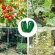 thumbnail image 3 of Red de enrejado, Red de jardín, Red de plantas trepadoras, Red de enrejado de jardín Red de árboles frutales Soporte de plantas trepadoras para plantas vegetales de pepino de tomate Kuyhfg Bienvenido a Kuyhfg, 3 of 5