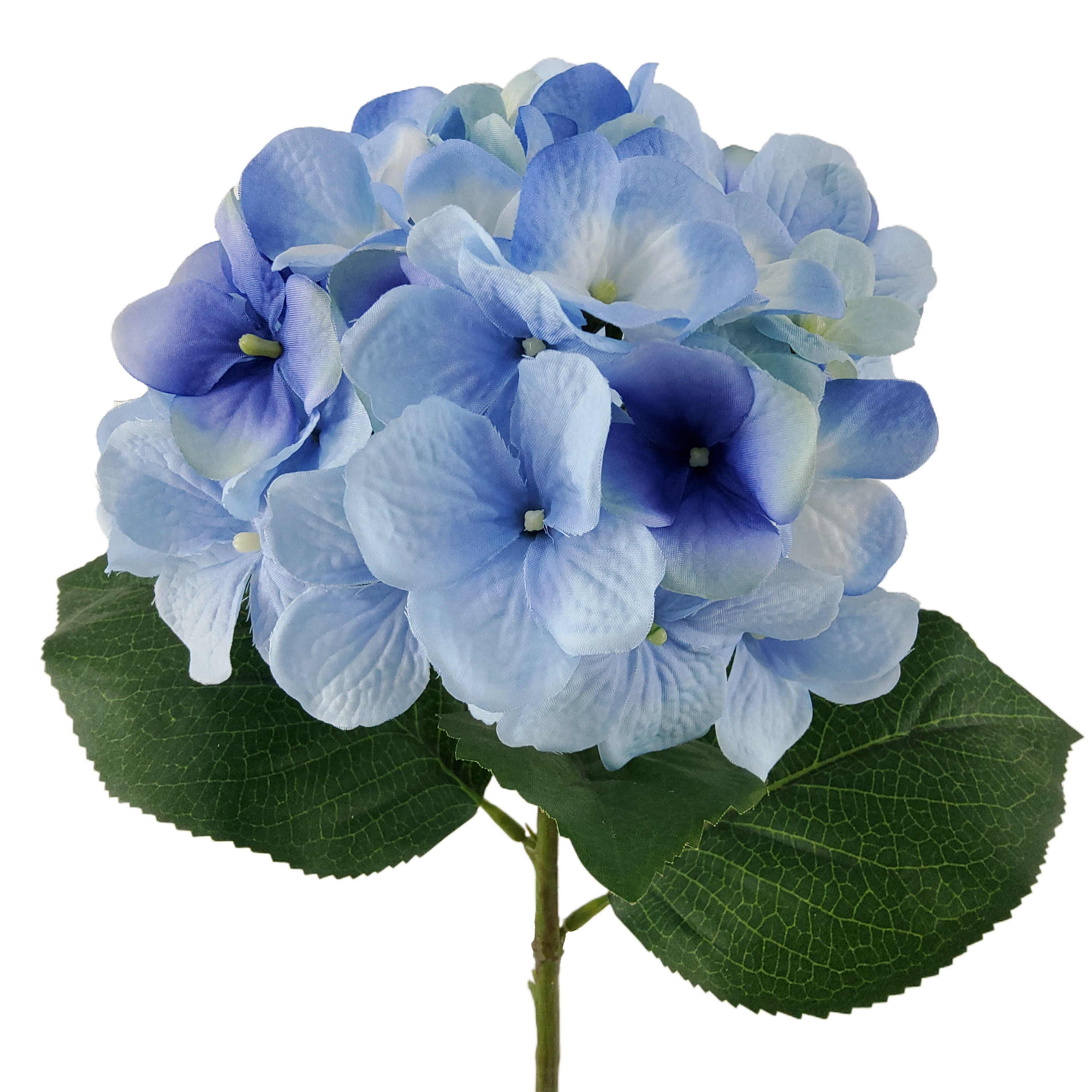 3e35b8b7-1860-4776-bf16-